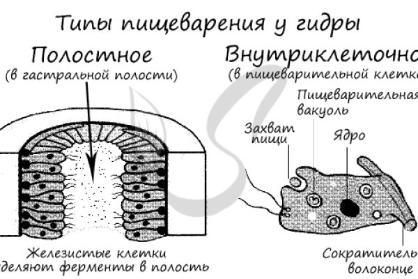 2krn сс