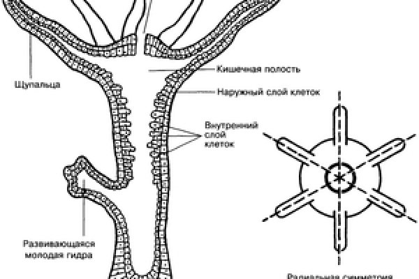 Что такое кракен площадка