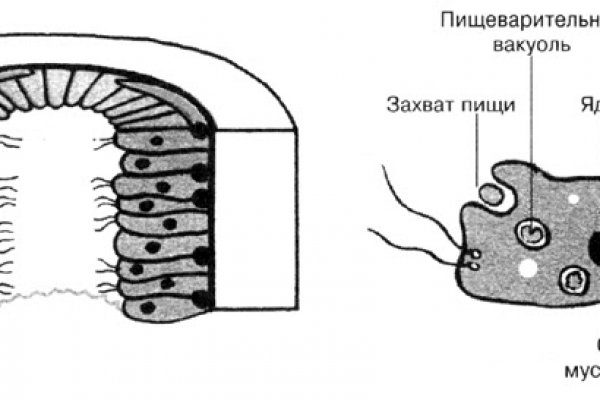 Кракен тор ссылка онион