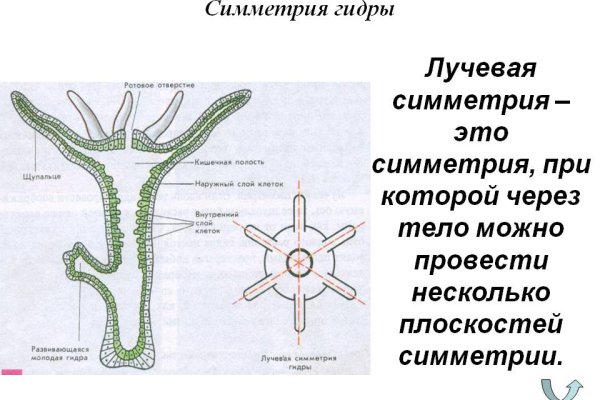 2krn at официальный